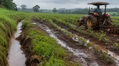 El Niño golpea fuerte en Misiones: alerta máxima y un pronóstico que preocupa