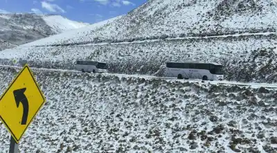 Puna salteña bajo nieve: el crudo pronóstico que preocupa a la zona