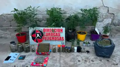 Allanamiento en San Isidro: secuestran drogas y detienen a una mujer