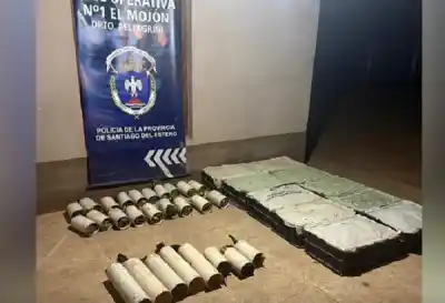 Tráfico de fauna en el Trifinio: secuestran 159 aves silvestres y una camioneta