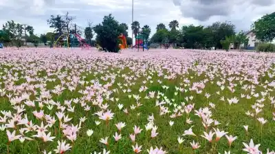 Un plan perfecto para los amantes de la naturaleza: salida gratuita en La Paquita