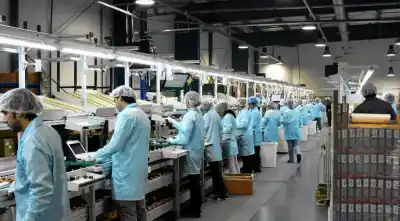 El empleo formal sigue en baja, pero a un ritmo más moderado