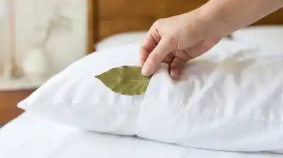 El truco que tenés en tu cocina para transformar tus noches y que nadie te contó