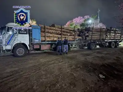 Un cargamento de 26 toneladas de quebracho colorado terminó secuestrado por falta de guía forestal