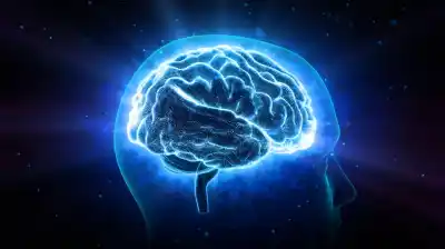 ¿Tu cerebro está sintonizado con el planeta? La hipótesis que revoluciona la neurociencia