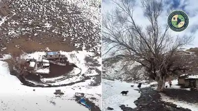 El drama de los ancianos aislados por la nieve: el operativo aéreo que los rescató