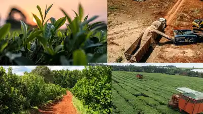 Alerta en Misiones: el Presupuesto 2027 advierte que el agro pierde competitividad y el gobernador Passalacqua apunta a la macro