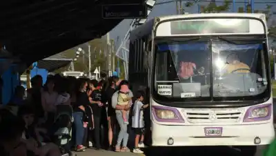 Feriado del 17 de agosto en Roca: qué servicios cambian y cómo circulará el transporte