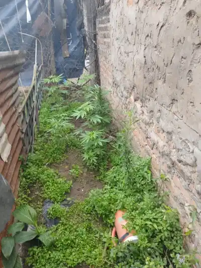 Un operativo sorpresa en Empedrado terminó con un hallazgo que dejó a todos boquiabiertos