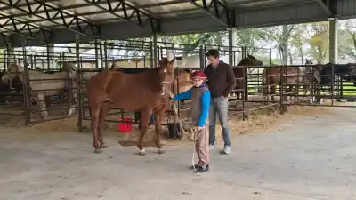 ¿Te vas a perder la Rural? El Municipio lanza un servicio de colectivos que te deja en la puerta
