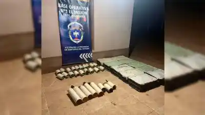 El insólito hallazgo en una camioneta que terminó con 159 aves silvestres secuestradas