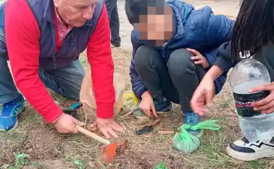 Escuelas de Jujuy se llenan de verde: así impulsan la alimentación saludable con huertas agroecológicas