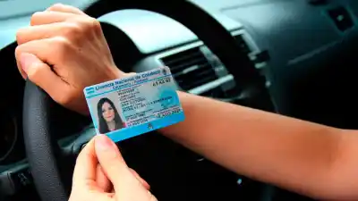 Llegan las licencias de conducir: el cronograma de entrega que esperaban cientos de conductores