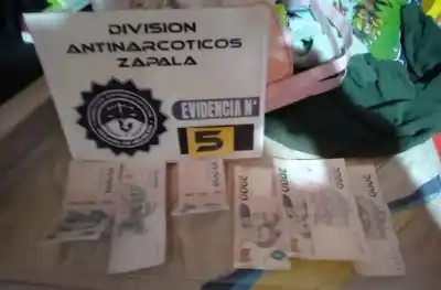 Cayeron en tres localidades de Neuquén y el botín incautado sorprendió a los investigadores