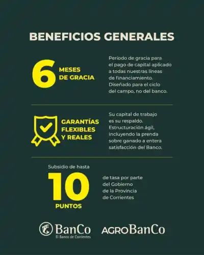 El Banco de Corrientes lanza líneas de crédito con subsidio de hasta 10 puntos para el sector ganadero