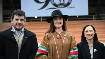 La vicepresidenta se despachó contra un impuesto clave de Caputo y el Gobierno mira para otro lado