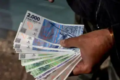 Chachos: quiénes cobran, cómo será el pago y qué hay que saber sobre la operatoria