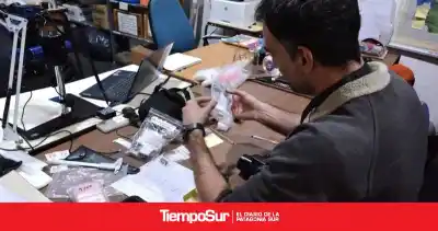 Científicos del CONICET y la USP revelan secretos de los fósiles de Santa Cruz: ¿qué encontraron en el Museo Molina?