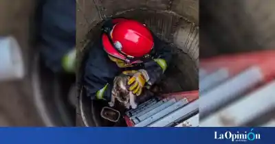 El insólito rescate en Piedra Buena: un gatito cayó en un pozo cloacal y los bomberos hicieron lo imposible