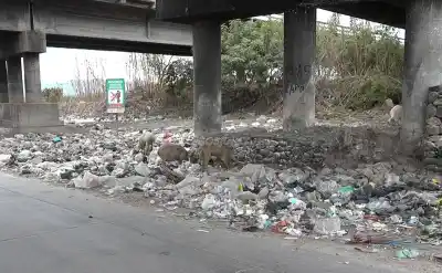 Firmaron los contratos para limpiar los basurales de la Zona Valles: qué obras incluyen