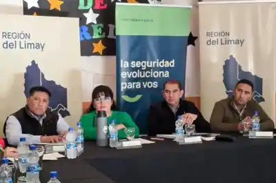 Refuerzan la seguridad en la Región del Limay: qué medidas se aprobaron en Picún Leufú