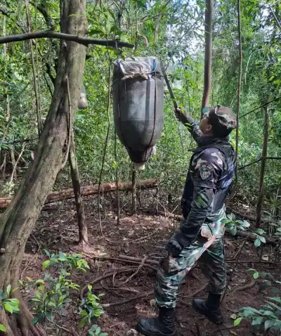 Encontraron 12 puestos de cazadores furtivos escondidos en la selva misionera