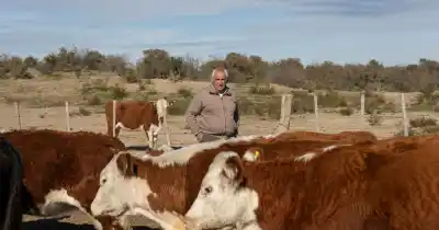 Heredó un campo que "no daba plata", cambió todo su manejo y hoy desafía la sequía en la Patagonia