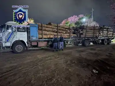 ¿Qué hacía un camión cargado de quebracho sin papeles? El operativo que lo descubrió