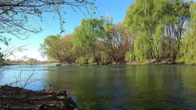 Roca se prepara para un domingo con sol y 15 grados