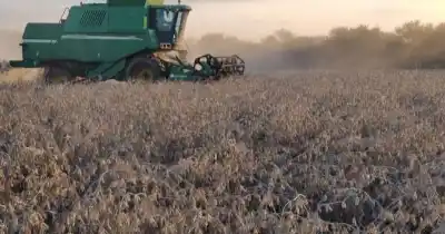 El clima define la cosecha: lluvias escasas y un fenómeno que preocupa a los productores