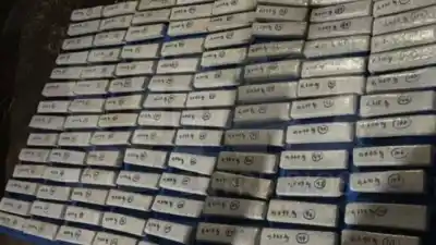 El insólito allanamiento que destapó un depósito de 77 kilos de marihuana en la casa de un empleado municipal