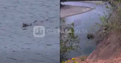El insólito hallazgo en el río Bermejo que dejó a todos sin palabras