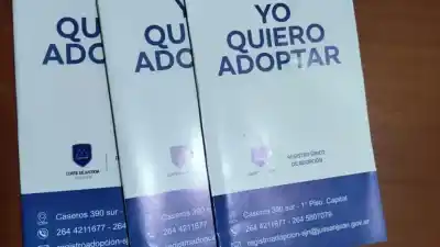Adopción en San Juan: la cruda realidad detrás de los 106 legajos y la niña de 11 años que conmueve