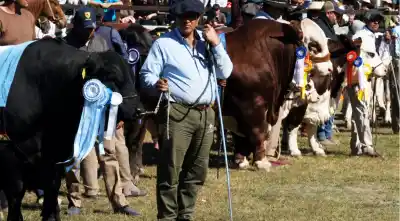 Salta se prepara para una Expo Rural que promete cinco días a puro campo