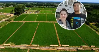 De un tráiler sin luz a producir 18.000 kilos de alfalfa por hectárea: la increíble transformación en Río Negro