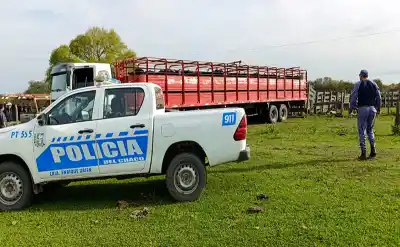 Tragedia en Samuhú: un joven peón murió electrocutado mientras descargaba animales
