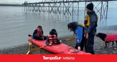 El ave que marca el invierno en Santa Cruz: un mes para descubrir al Macá tobiano