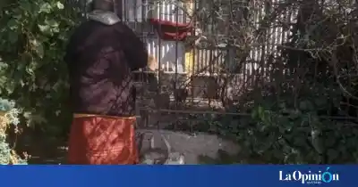 El legado de Olga: sus gatos quedaron desamparados y piden ayuda desesperada