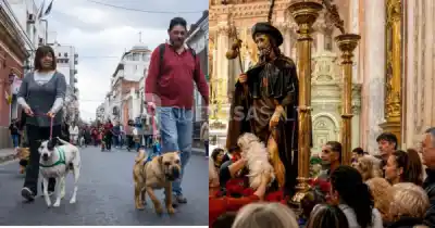 El santo que alimentó un perro: la insólita tradición que vuelve a convocar a Salta