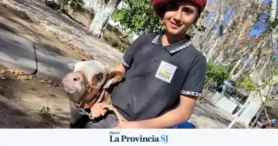 Ni pizarrón ni aulas: la ternera que se volvió la más habladora y la cabra que guía a toda la manada