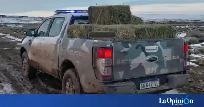 Operativo integral en Santa Cruz: controles, asistencia y relevamientos en zonas rurales