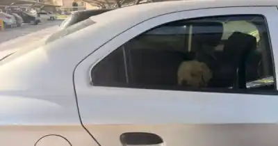 La angustiante escena que una vecina encontró en un estacionamiento de Salta