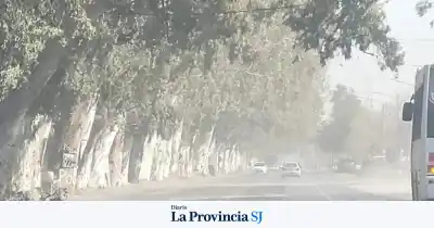Alerta amarilla por viento Zonda: cuándo azotarán las ráfagas de 130 km/h en San Juan
