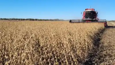 El agro resiste la rebaja de retenciones: cuánto aportará a las arcas del Estado en 2026
