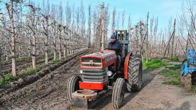 De la crisis al éxito: la chacra patagónica que renació como orgánica y sustentable