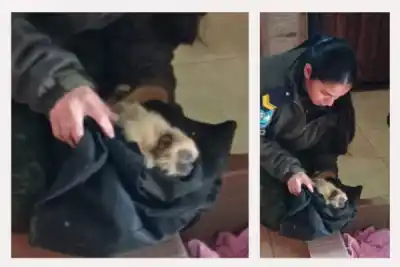Un hallazgo inesperado en Capillita: el rescate que conmovió a la Policía Rural