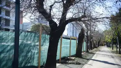 El hallazgo que conmocionó a La Plata: encontraron sin vida a una joven y ahora buscan respuestas en su celular