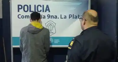 Robó insecticidas y detergentes en Diagonal 79: el insólito botín que lo mandó preso