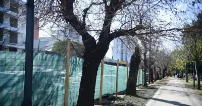 Desgarrador hallazgo en el Parque Saavedra: una joven fue encontrada sin vida