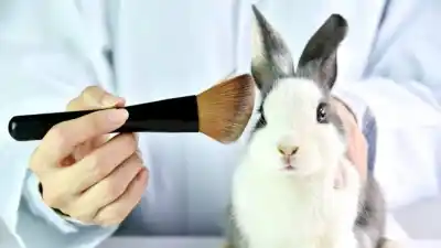 ¿El fin de las pruebas con animales en cosmética? La propuesta que impulsa una diputada neuquina